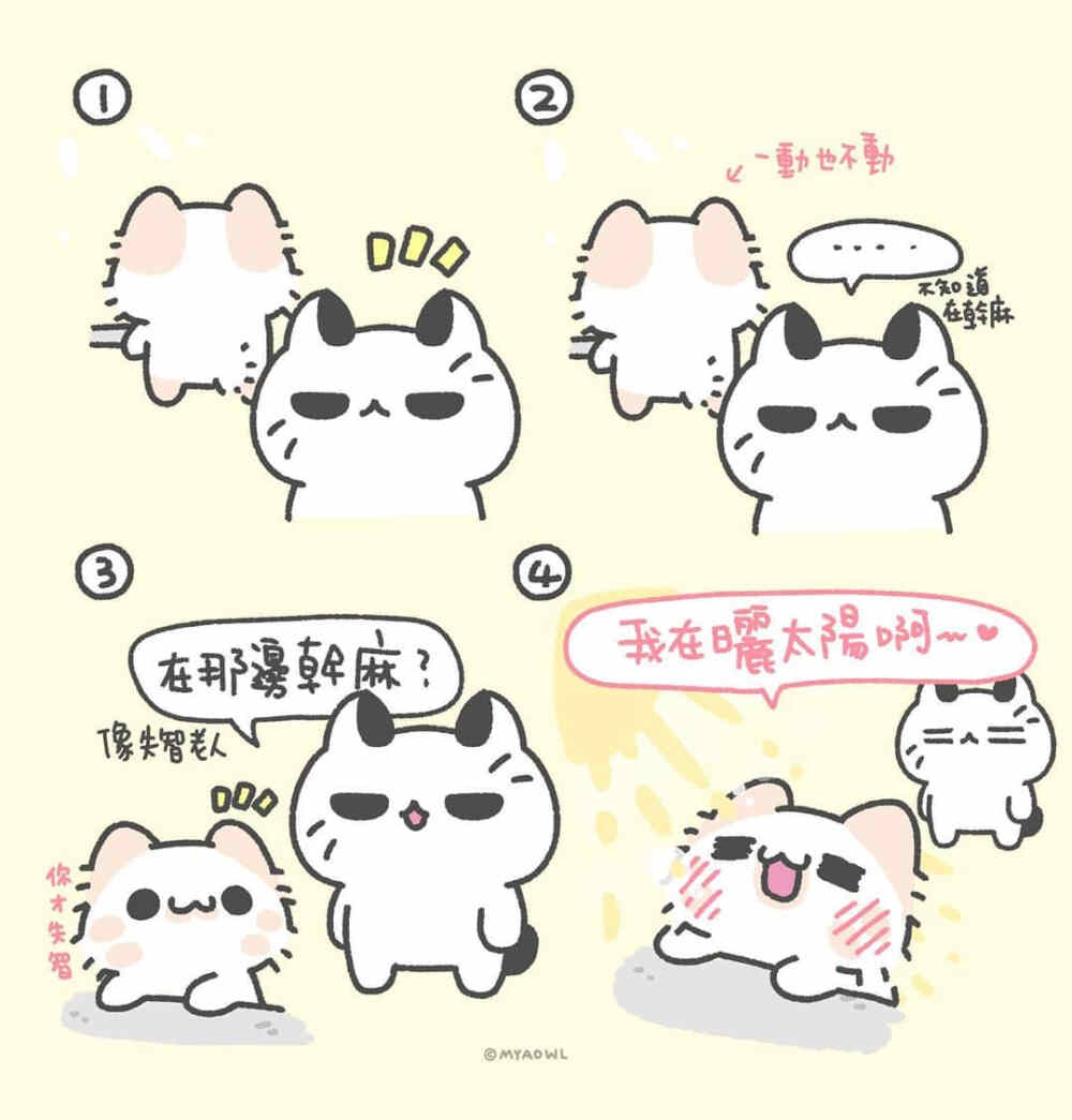   ້໌ᮨ情侣  ້໌ᮨ
                                      ✍︎ cr. myaowl ✍︎