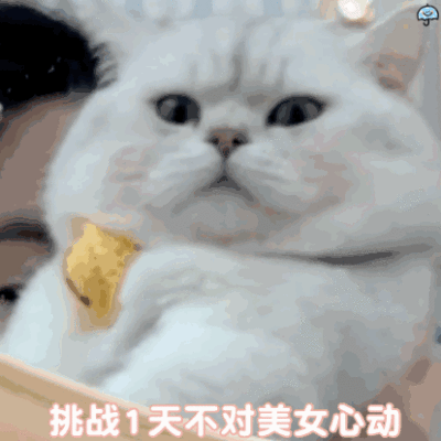 雨伞