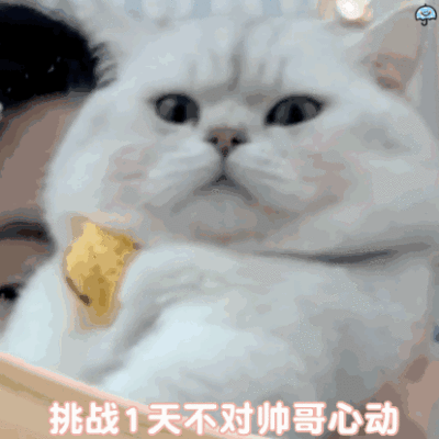 雨伞