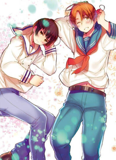 〔APH〕