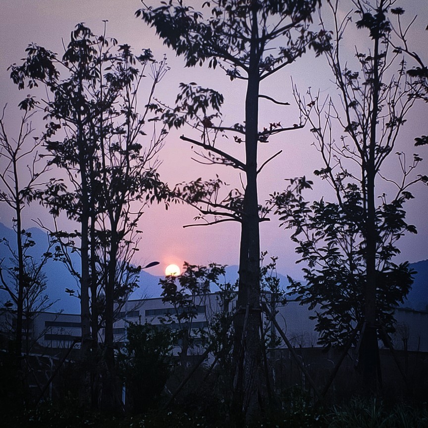 “晚风轻踩着云朵，晚霞贩卖快乐，银河在背后靠近我们，我与星辉为你一同沉沦.”
小圈日记3.22