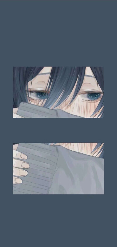 壁纸
图源网络，侵删