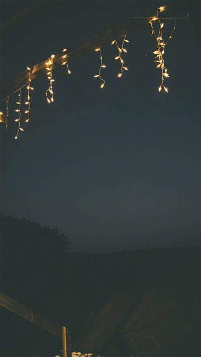 壁纸
图源网络，侵删