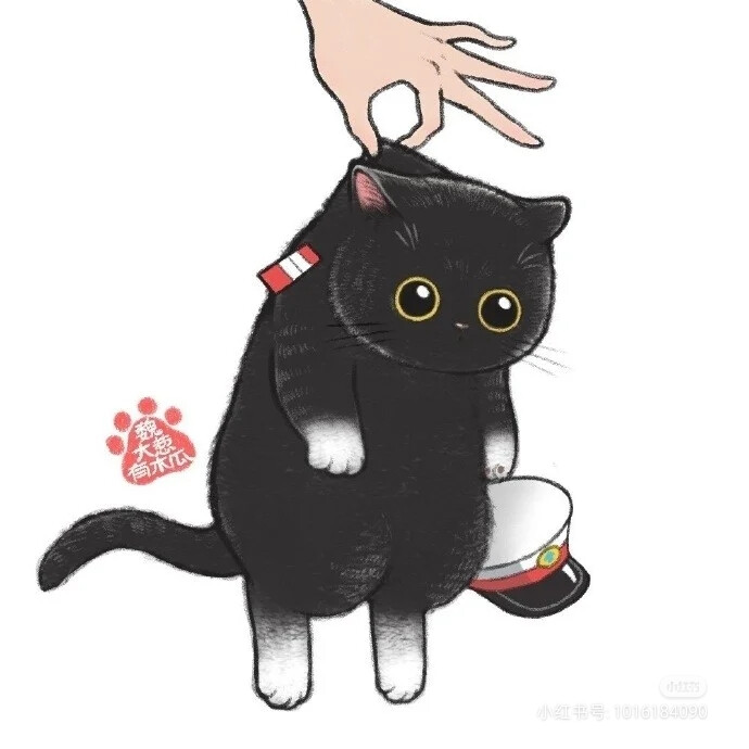 猫咪