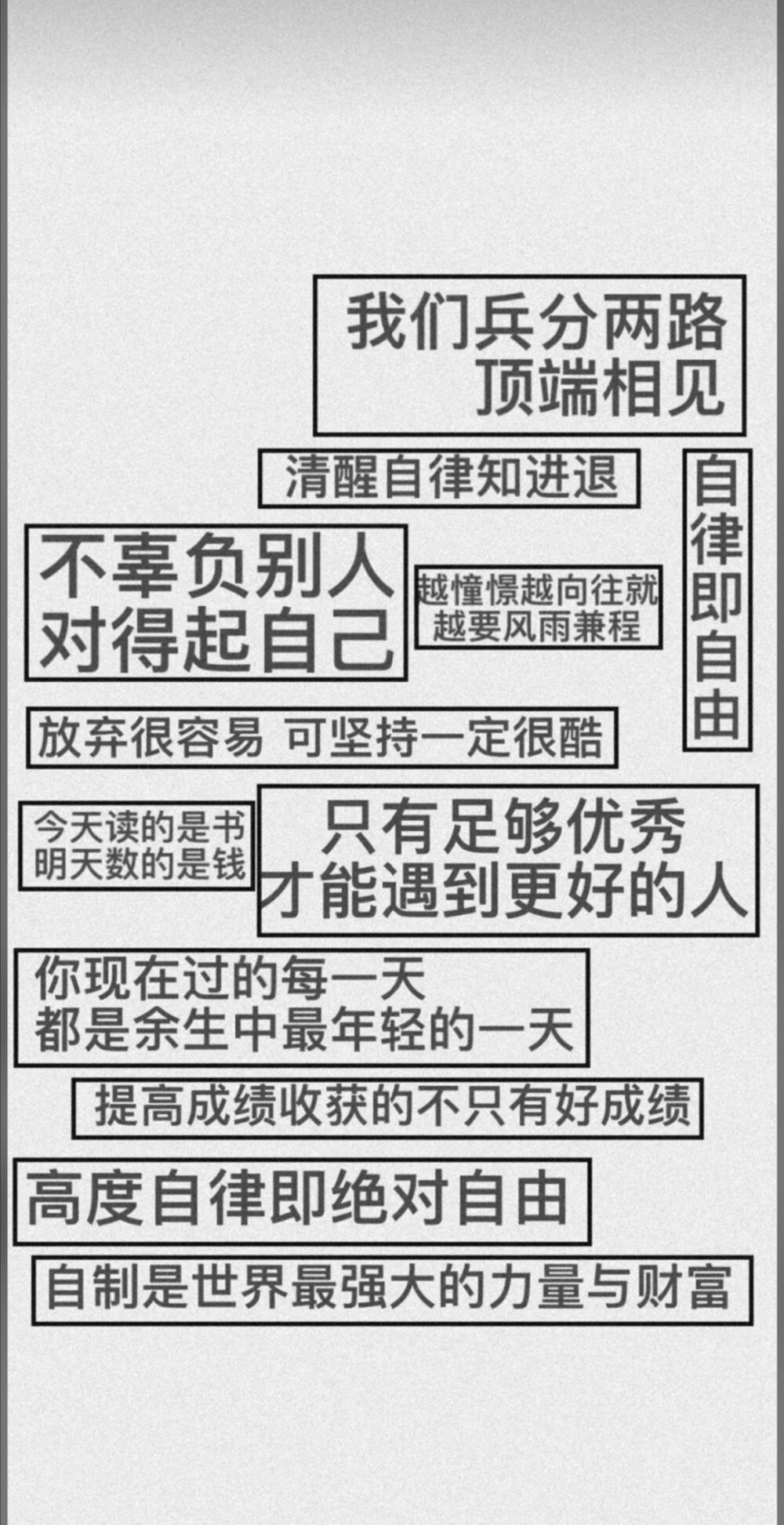 你可以喜欢森林，但你不能忘了一直陪着你的那棵树啊.