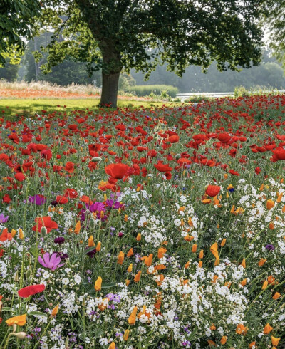 想自己活成一束光