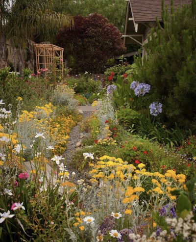 想自己活成一束光