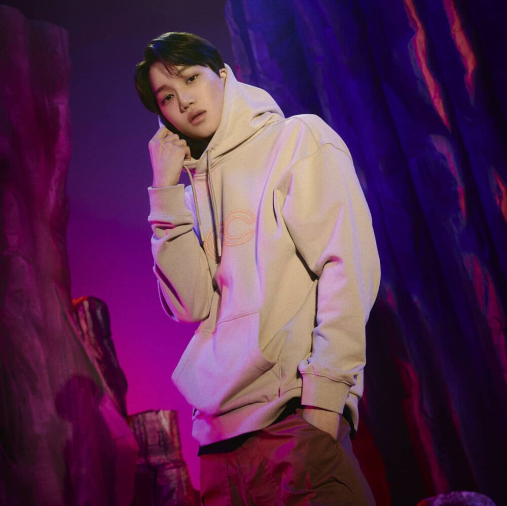 EXO 金钟仁 KAI