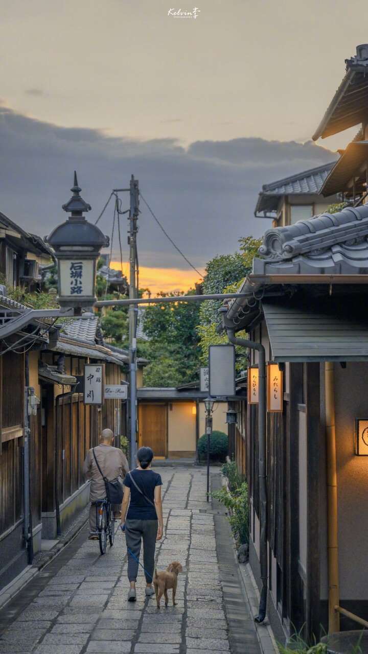 黄色实景壁纸
黄色/实景/壁纸/日本/绝美
礼貌抱图