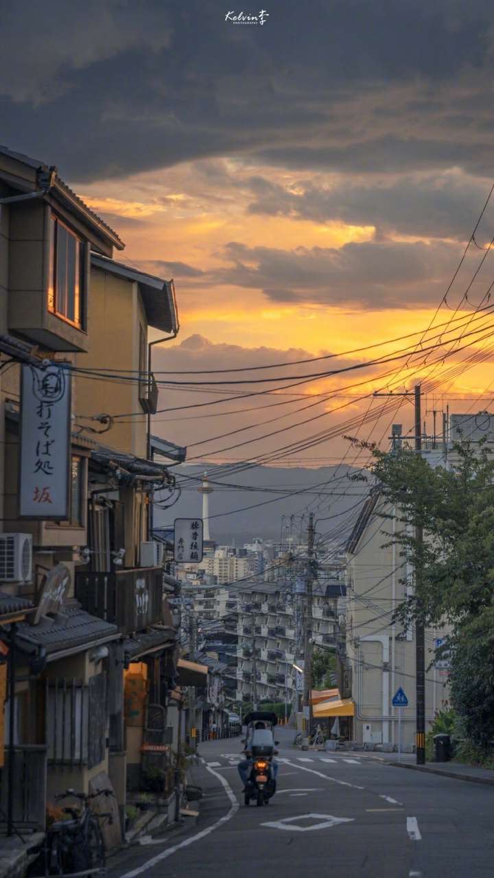 黄色实景壁纸
黄色/实景/壁纸/日本/绝美
礼貌抱图