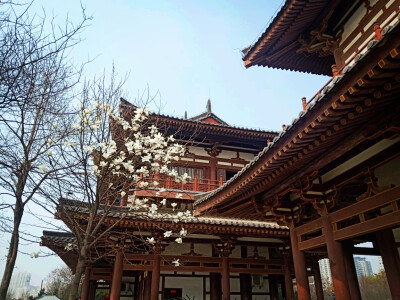 西安青龙寺，