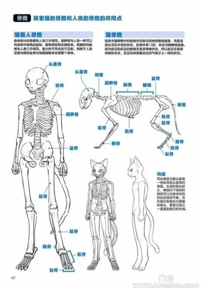 兽人绘画