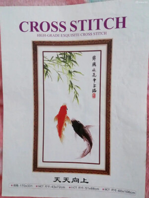 默认专辑