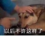 搞笑 真人。沙雕 表情包 动图 gif 熊猫头