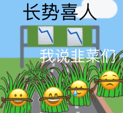 vb 追大鹅
表情