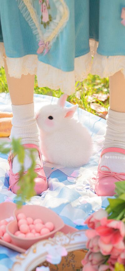 ❤超级可爱小兔子❤
图源：名侦探牛奶喵
