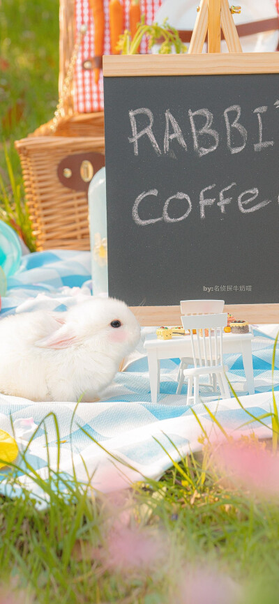 ❤超级可爱小兔子❤
图源：名侦探牛奶喵
