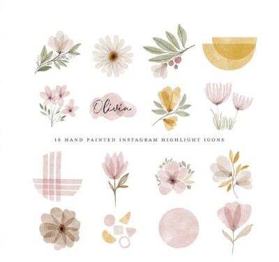 植物绘，插画师：beatriceviyiwi ​ ​​