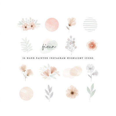 植物绘，插画师：beatriceviyiwi ​ ​​