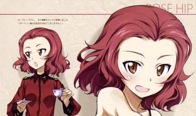 少女与战车 蔷薇果