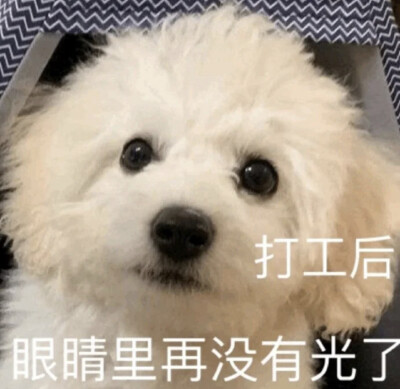 终于周末了