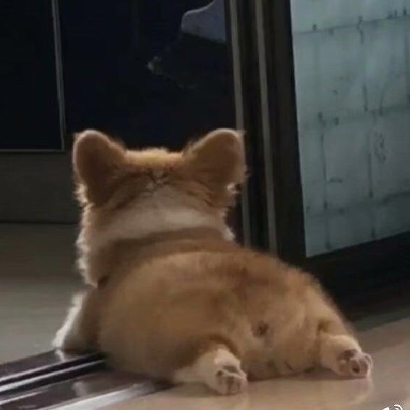 精选头像～