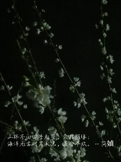 再黑的夜，也掩不住春的怒放