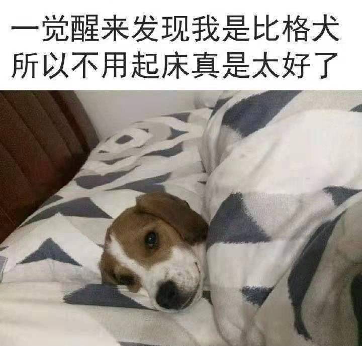 沙雕