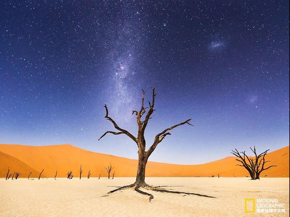 死亡谷一夜
“在返回温特和克的前一晚，我们在死亡谷（Deadvlei）待了几个小时。”摄影师Beth McCarley这样写道，他当时正在纳米比亚进行拍摄工作。“当晚月亮的光芒足够照亮远处的沙丘，但却并没有妨碍我们观测天空中璀璨的银河还有麦哲伦星云。眼前这些干枯的相思树据说已经有900岁了，因为四周环境极度干燥，所以一直保持着这个模样而并未腐烂分解。摄影：Beth McCarley