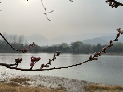 北京植物园