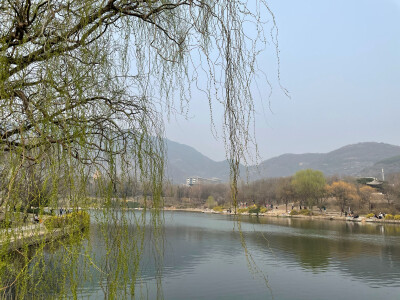 北京植物园