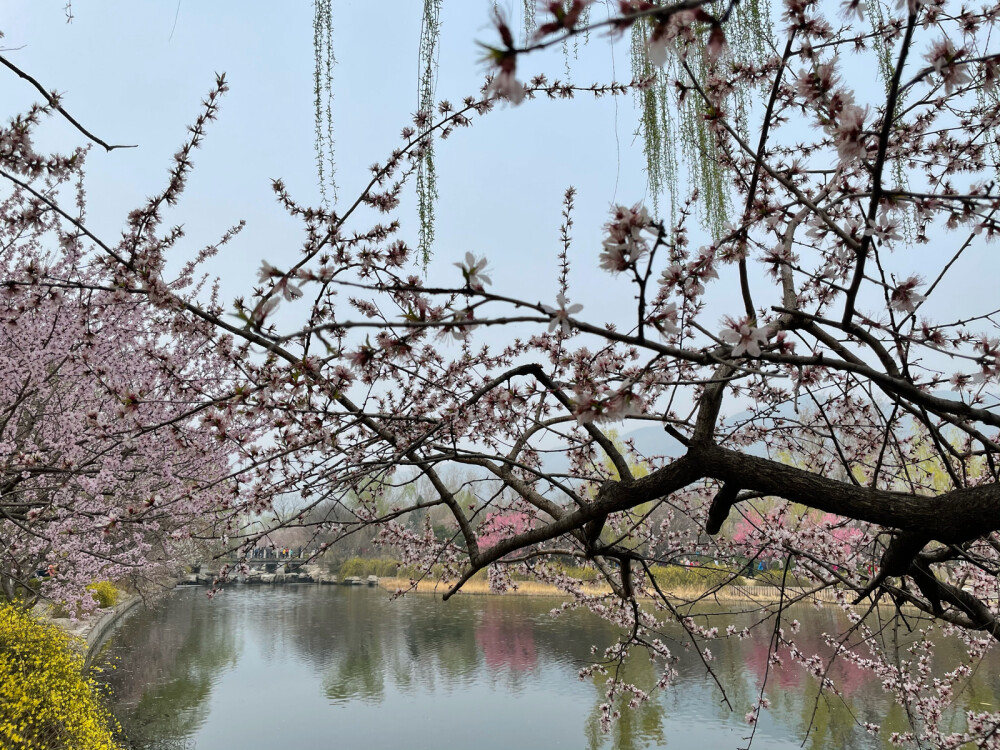 北京植物园