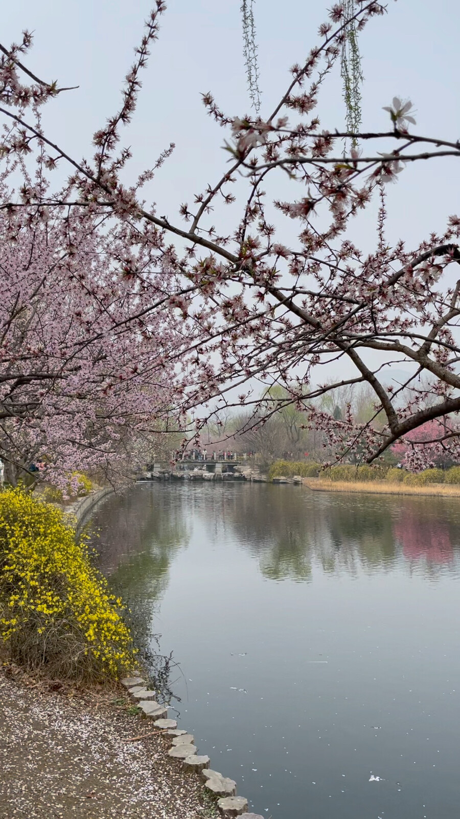 北京植物园