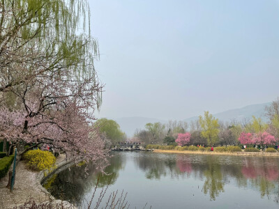 北京植物园