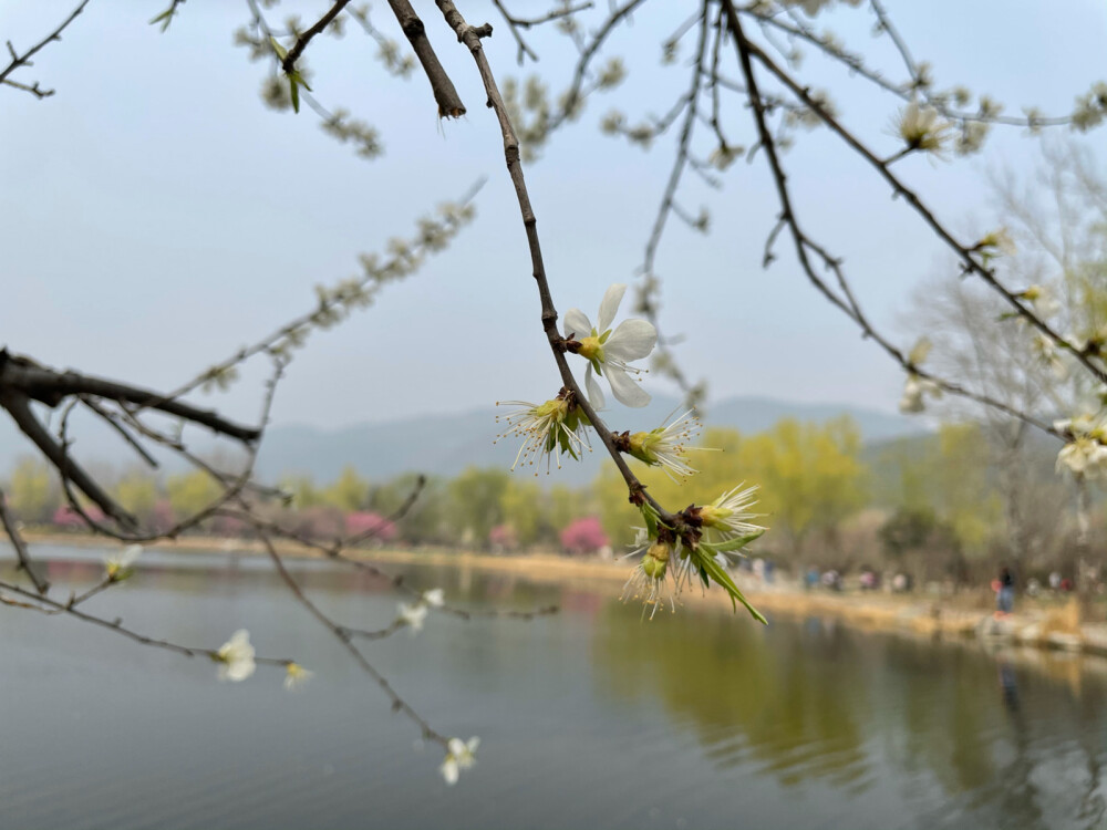 北京植物园