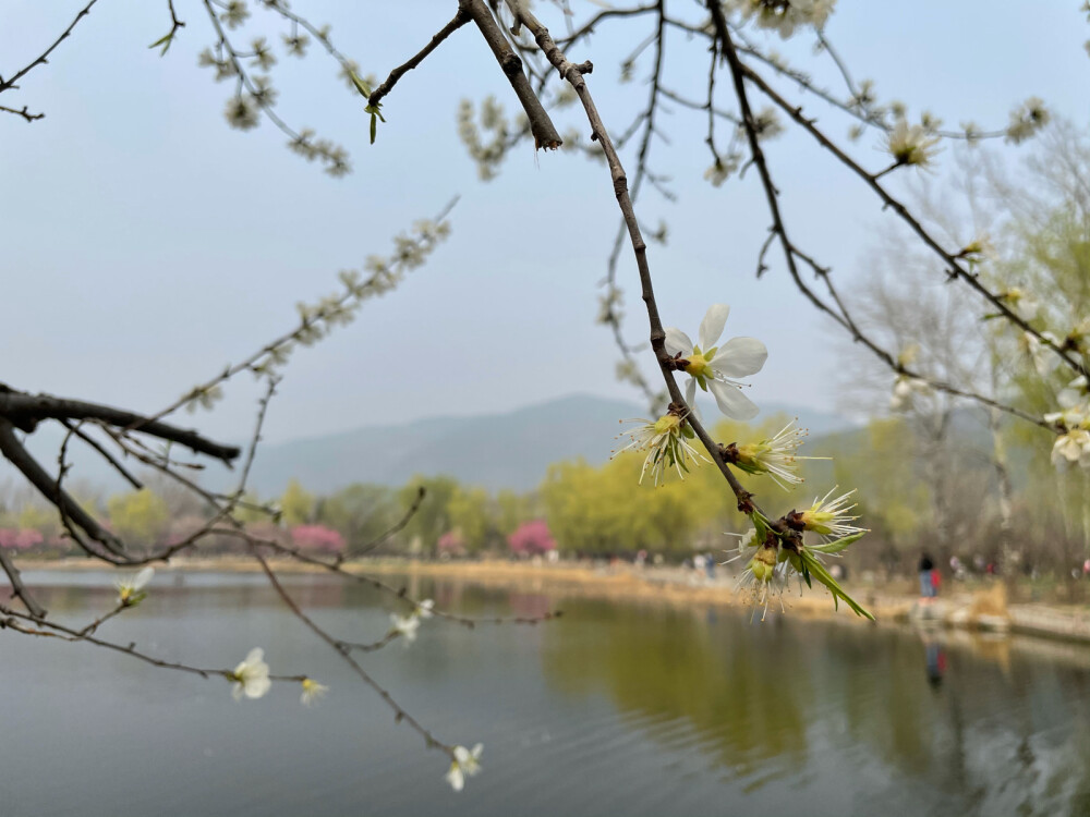 北京植物园