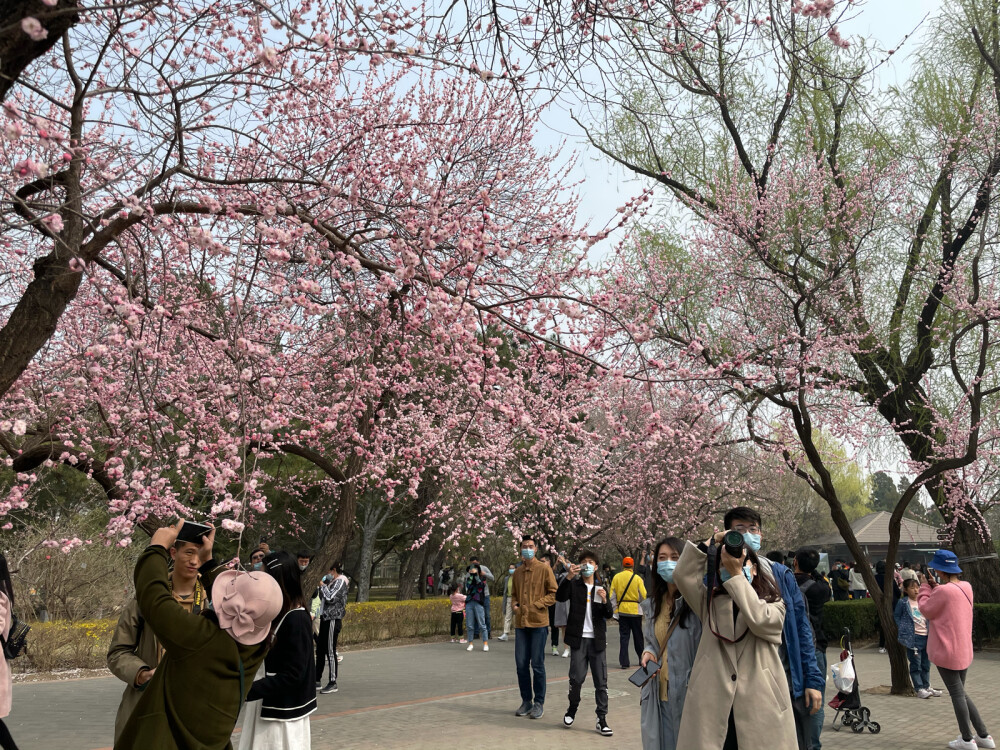 北京植物园