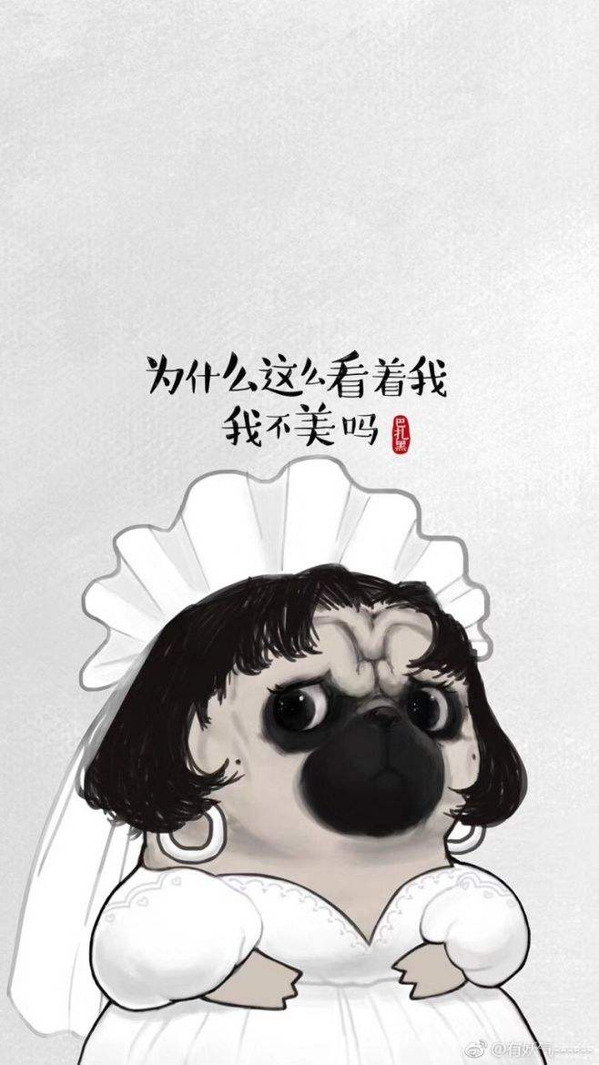 吾皇巴扎黑