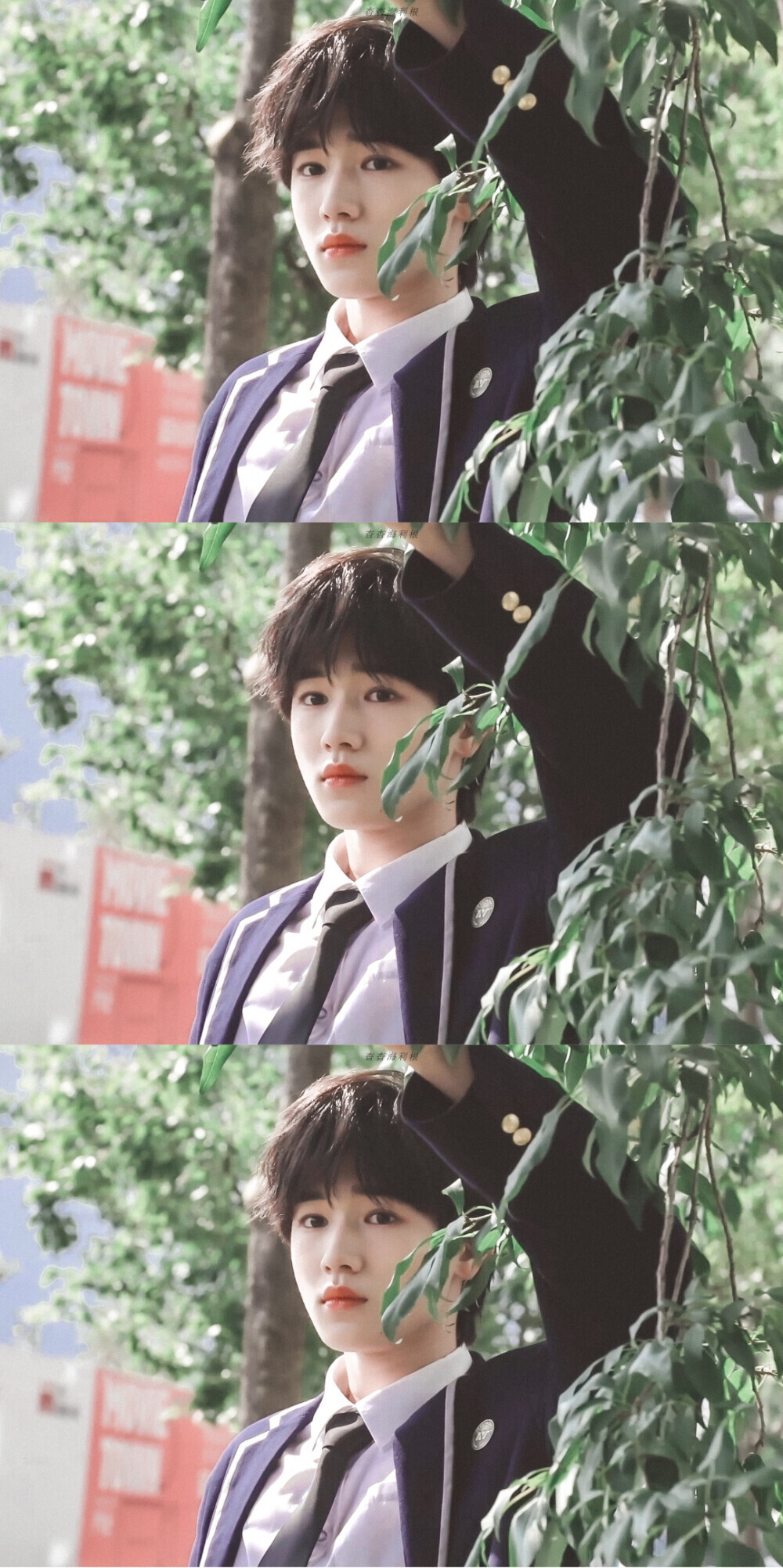 宋亚轩头像 夏日限定的小宋学长.想和你谈恋爱.