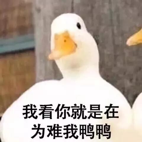 表情包