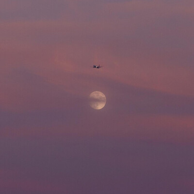 ♪IU 李知恩.
♪烛光晚餐要和你一起享用.
♪背景图©olmoon. 