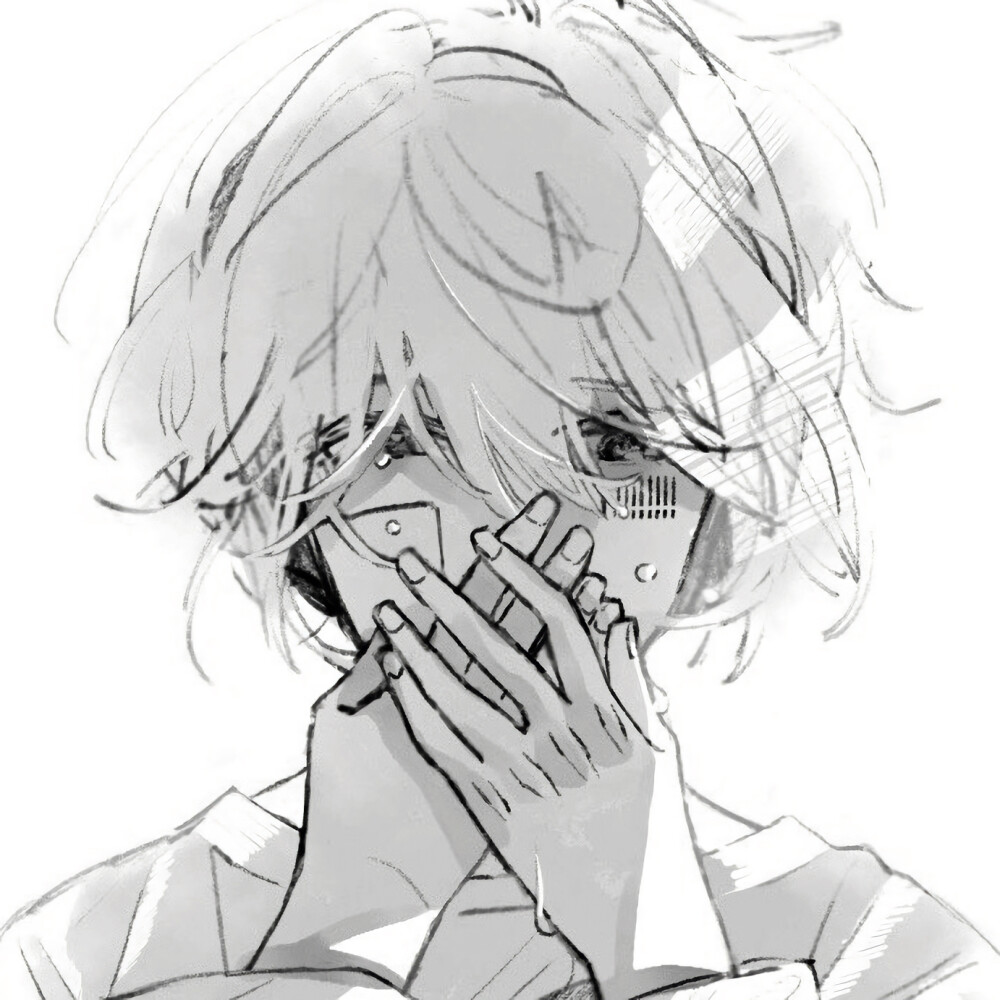 二传注：dt养
