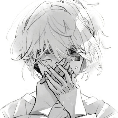 二传注：dt养