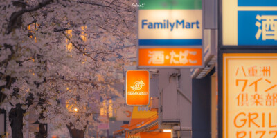 当枝头开满了樱花，浪漫便开始了（摄影师：kelvin李）