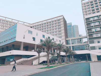 深圳大学