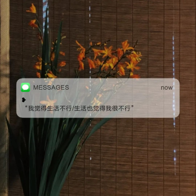 messages｜背景图