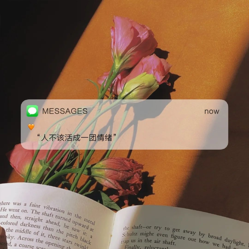 messages｜背景图