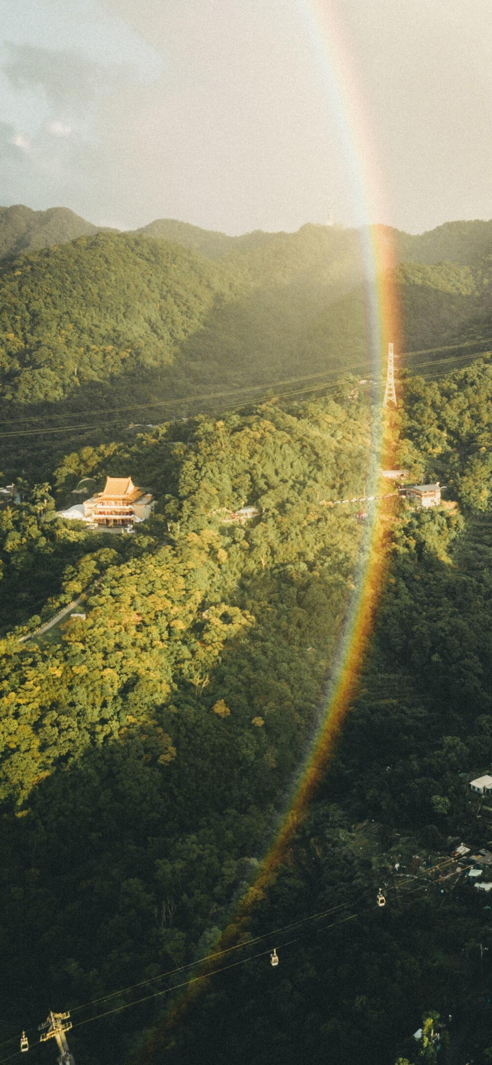 绿色壁纸