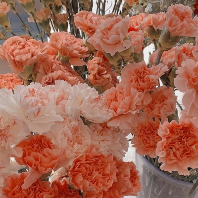 IU可二改6张丨十三幺套图可二改
抱图看介绍￤收藏点赞专辑