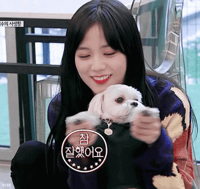 金智秀|动图❤️